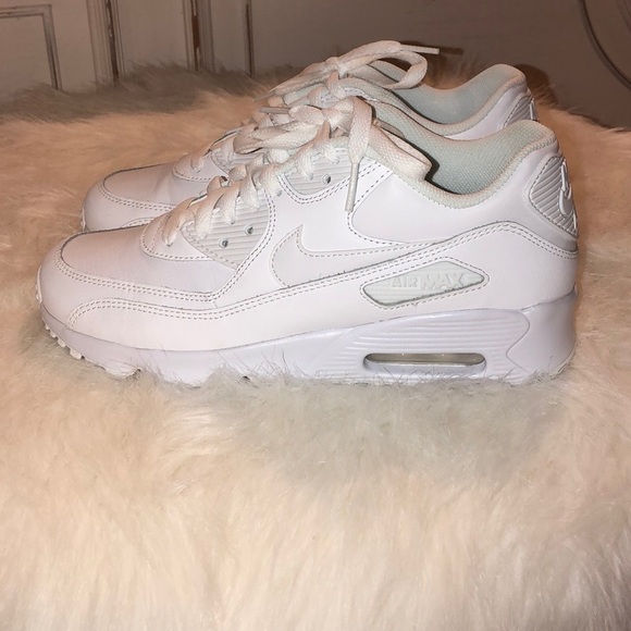 Nike Shoes - Nike Air Max 90 LTR(GS)